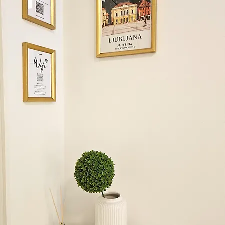 - Ljubljana's Gem - Free Public Parking Apartmán Lublaň