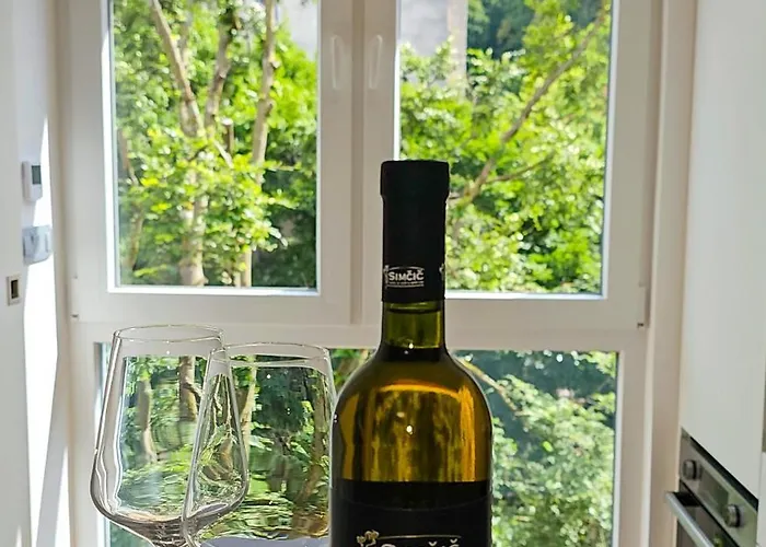 - Ljubljana's Gem - Free Public Parking *